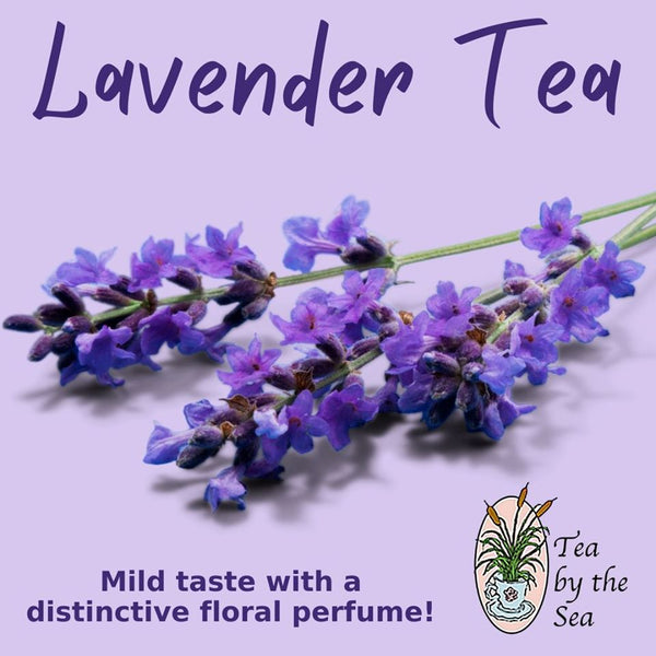 Lavender (Herbal - Caffeine Free)